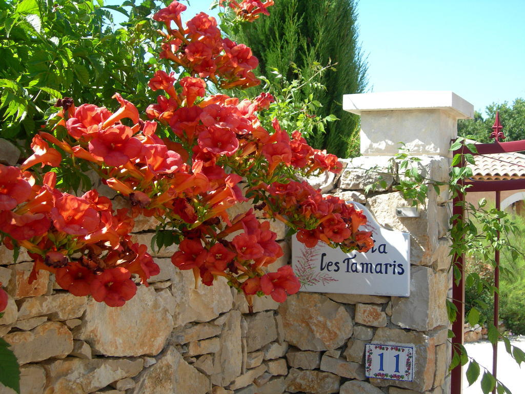 B&B Villa Les Tamaris Régusse Kültér fotó